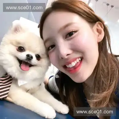 蔡钥菊